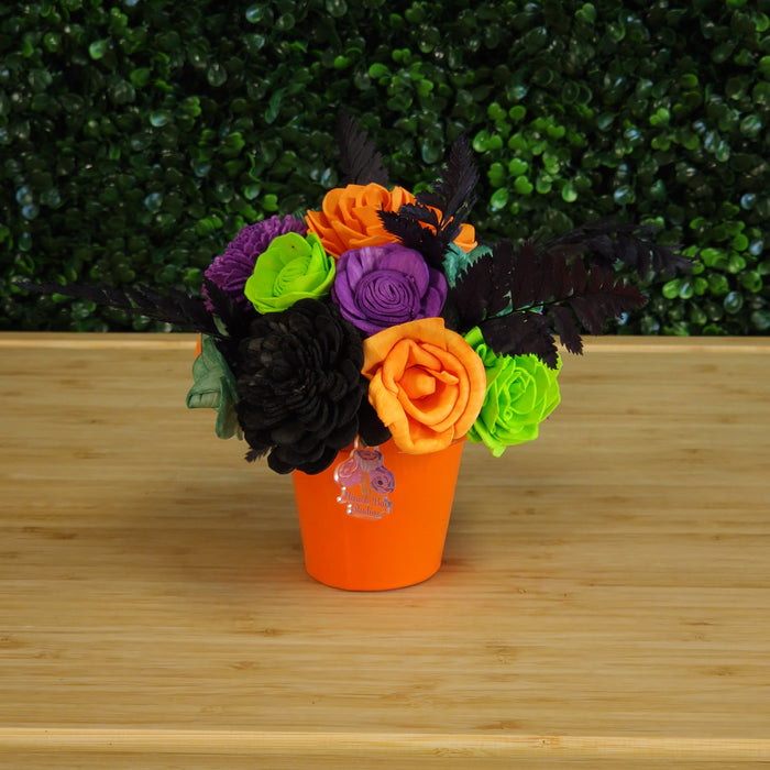 Belvedere Street - American Bloomways