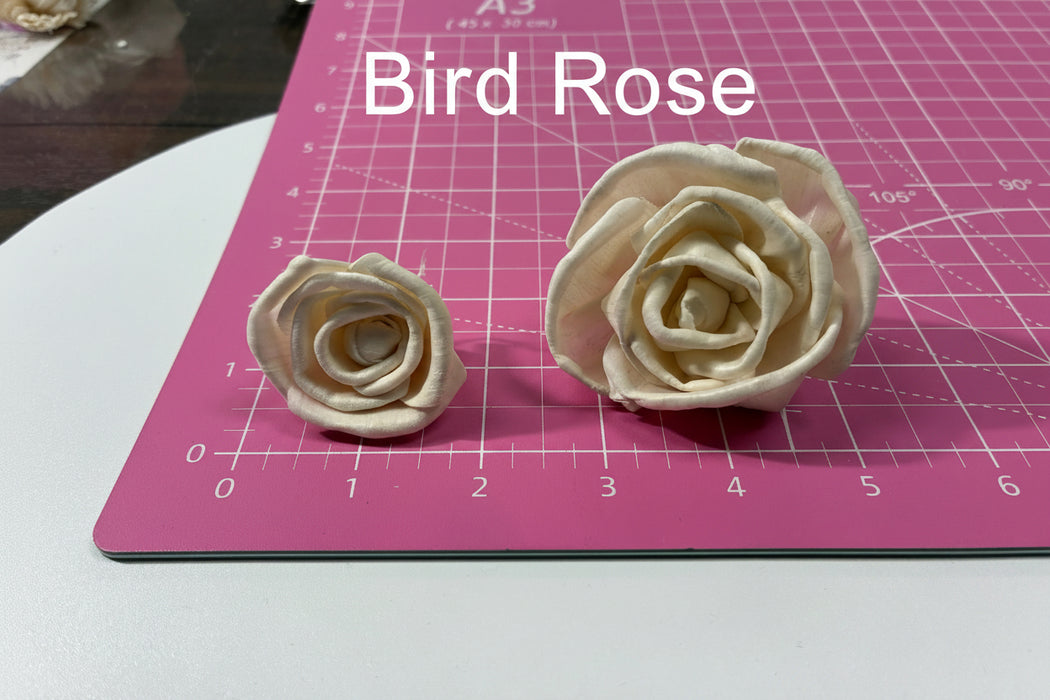 Boutonniere - Prom and Formal