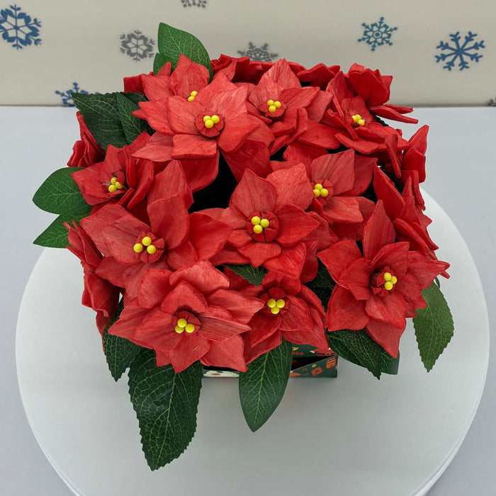 Poinsettia Present! - Holiday Decor
