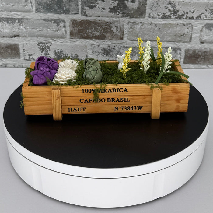 Mini Coffee Crate Garden - Bunny Feast - Desk Gardening