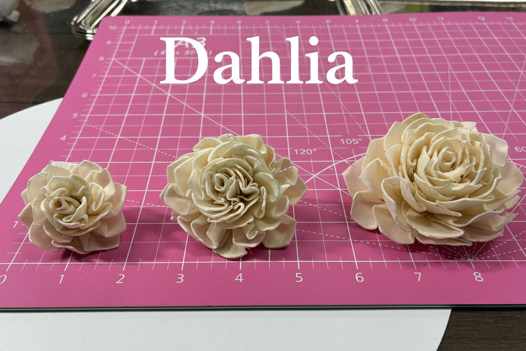 Boutonniere - Prom and Formal