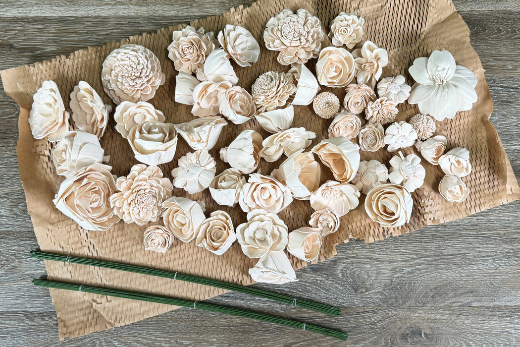 Bulk Pre-Colored Sola Wood Flowers & Stems Kit